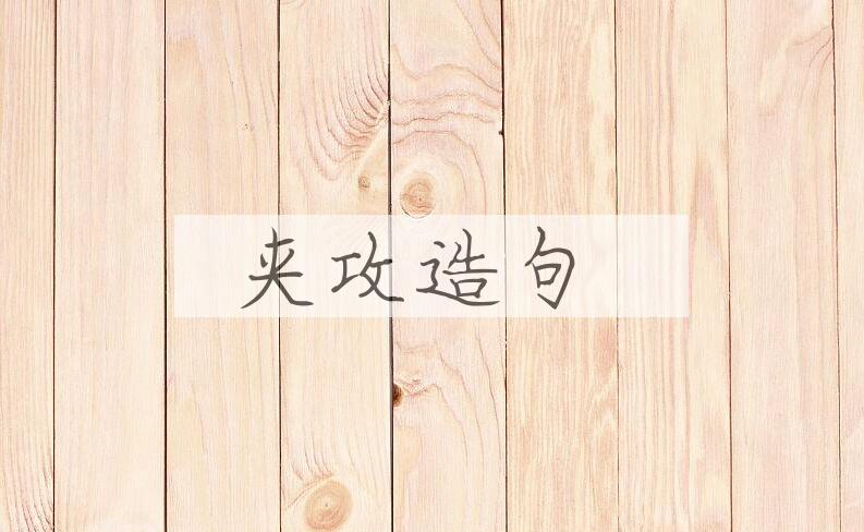 用夹攻造句