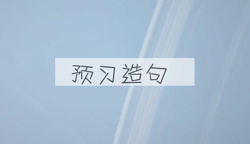 用预习造句