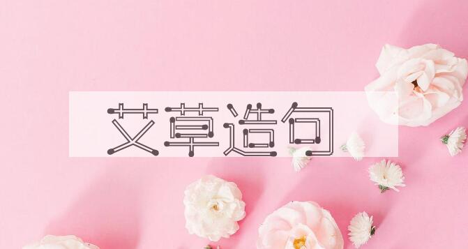 用艾草造句