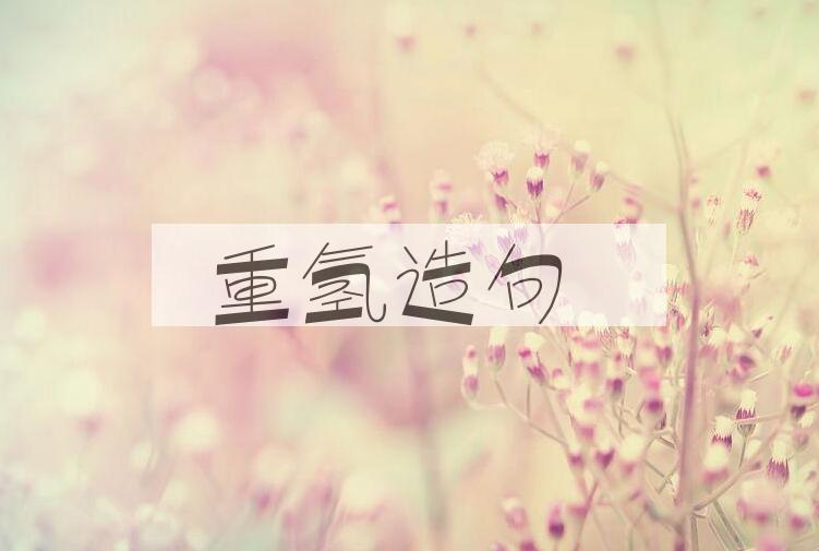 用重氢造句
