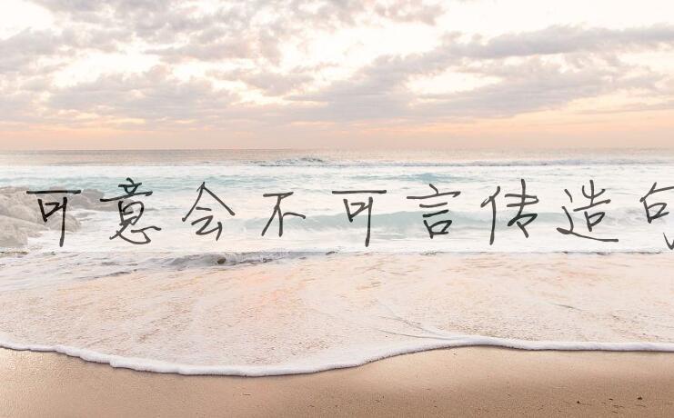 用只可意会，不可言传造句