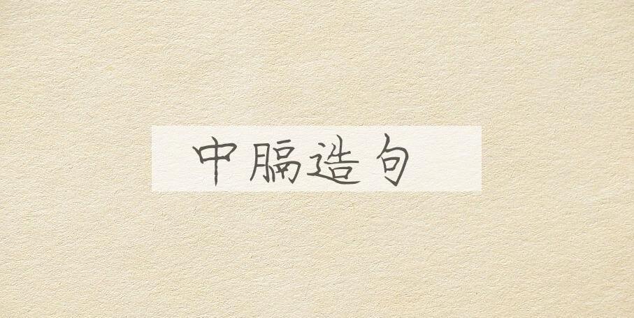 用中膈造句