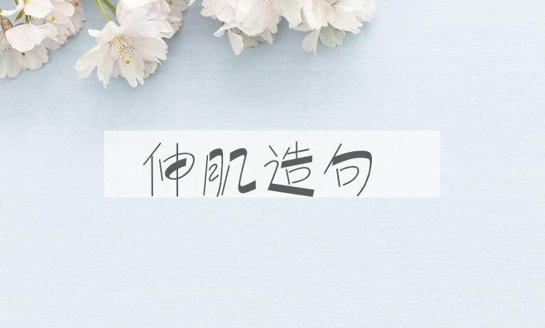 用伸肌造句