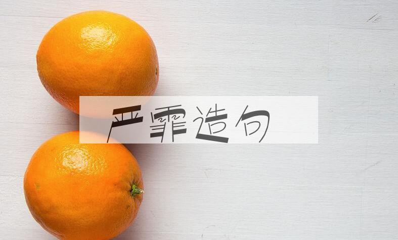 用严霏造句