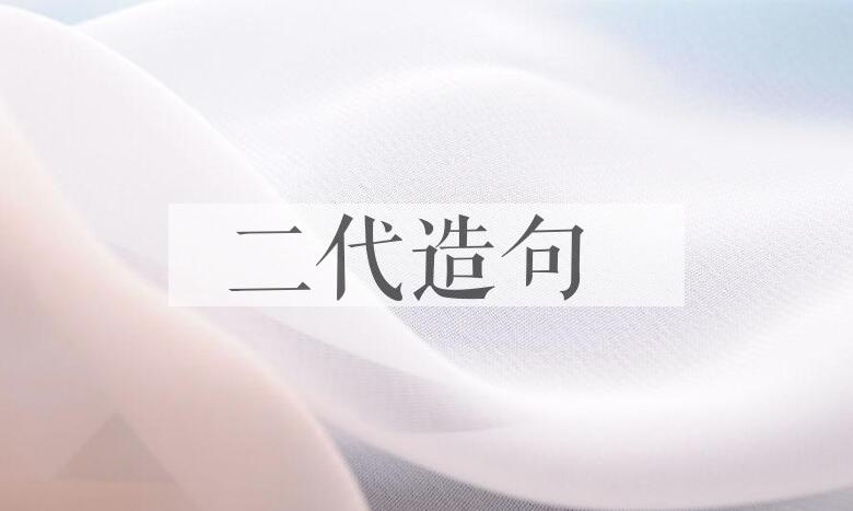 用二代造句