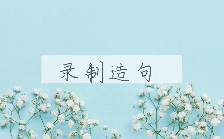 用录制造句