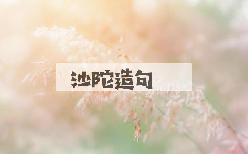 用沙陀造句