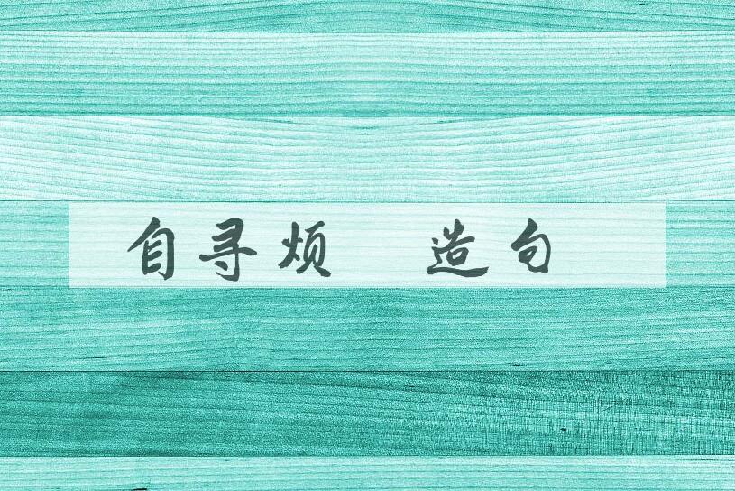 用自寻烦恼造句