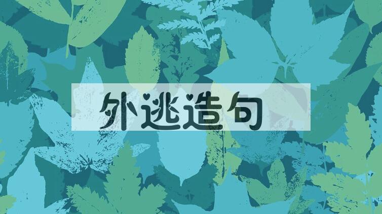 用外逃造句