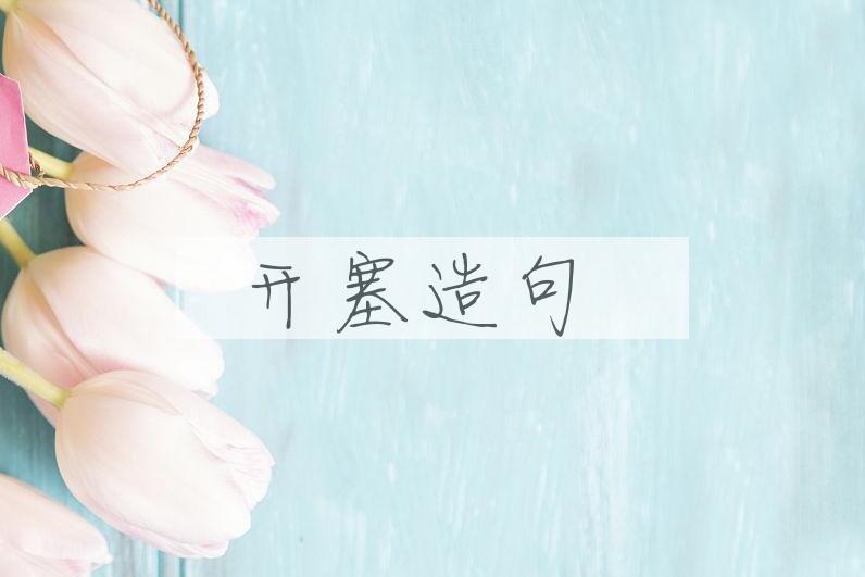 用开塞造句