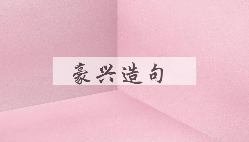 用豪兴造句