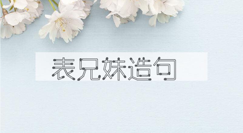 用表兄妹造句