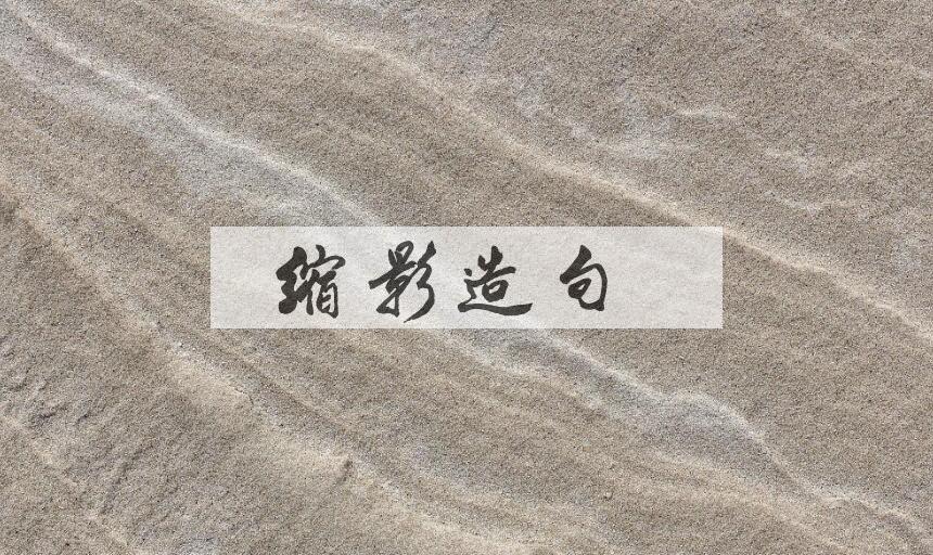 用缩影造句
