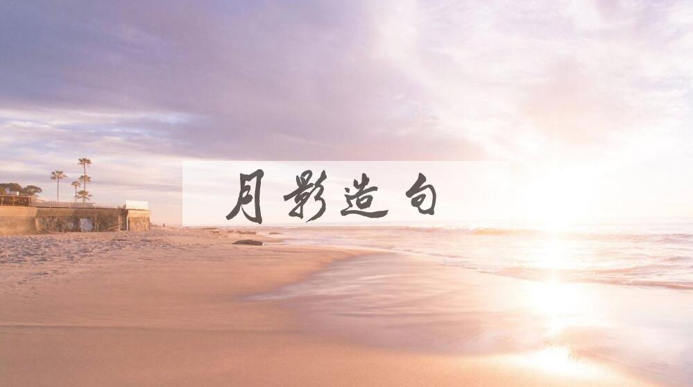 用月影造句