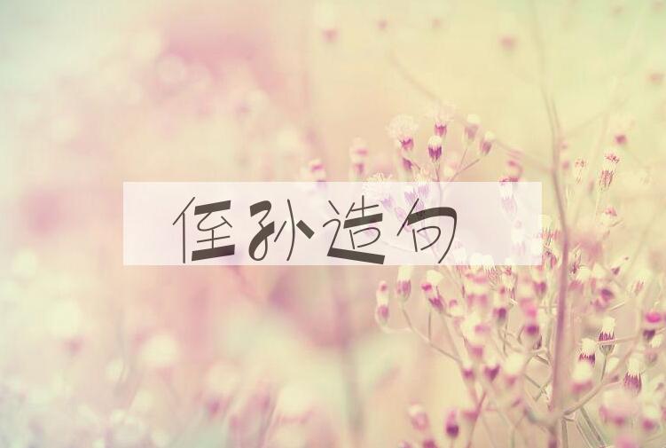 用侄孙造句