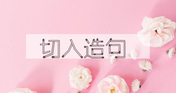 用切入造句
