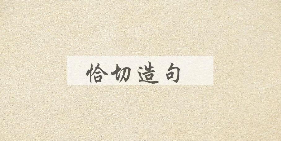 用恰切造句