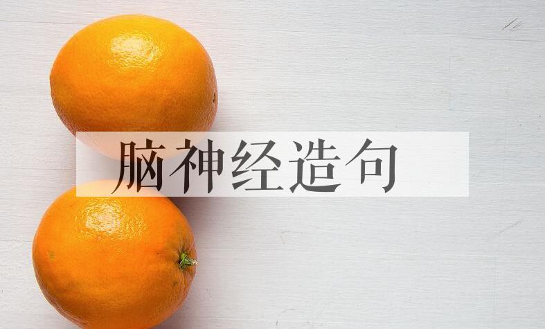 用脑神经造句