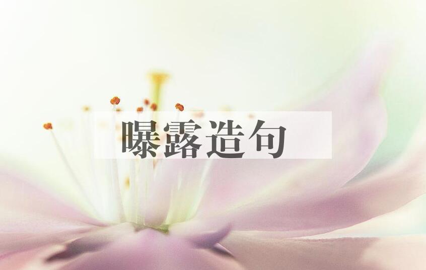 用曝露造句