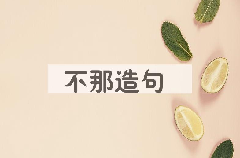 用不那造句