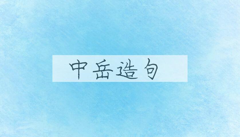 用中岳造句