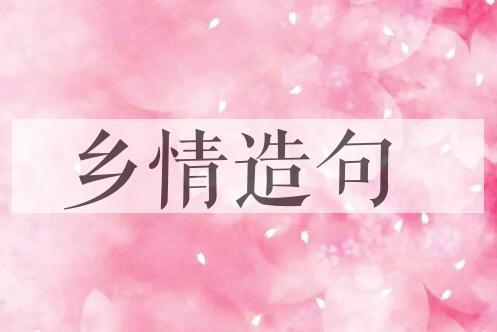 用乡情造句