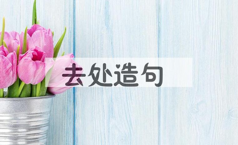 用去处造句