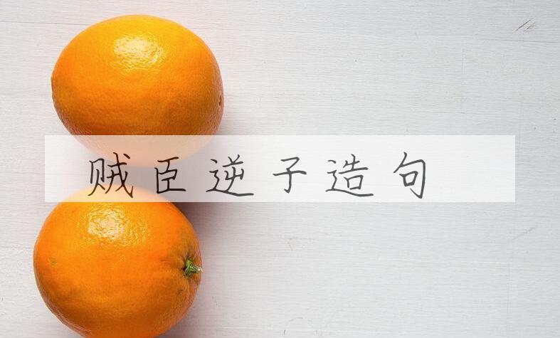 用贼臣逆子造句