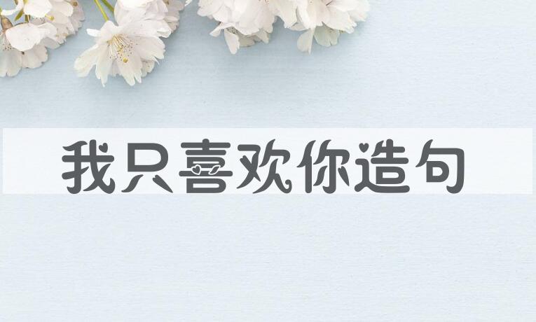 用我只喜欢你造句