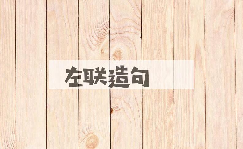 用左联造句