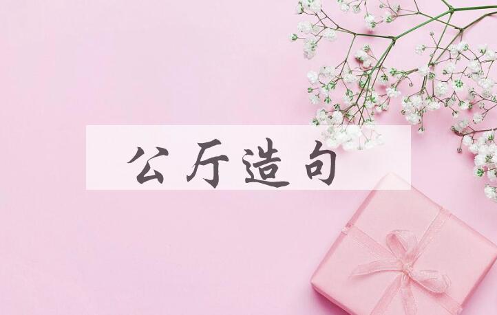 用公厅造句