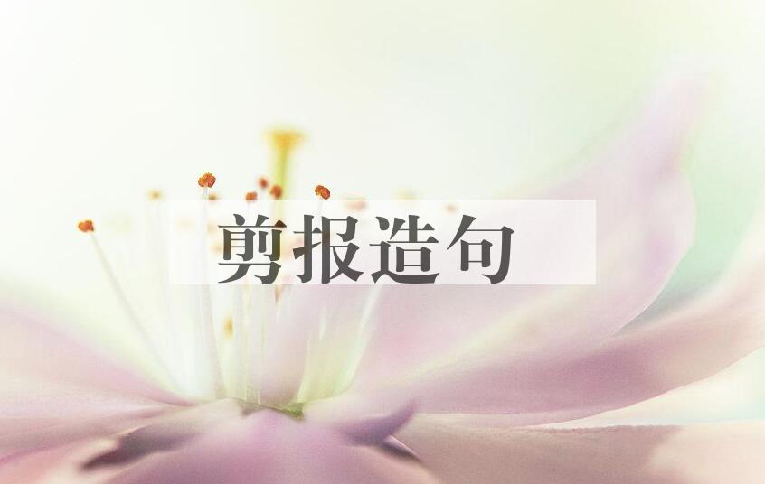 用剪报造句