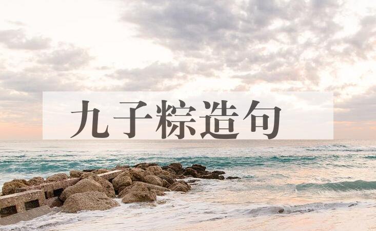 用九子粽造句