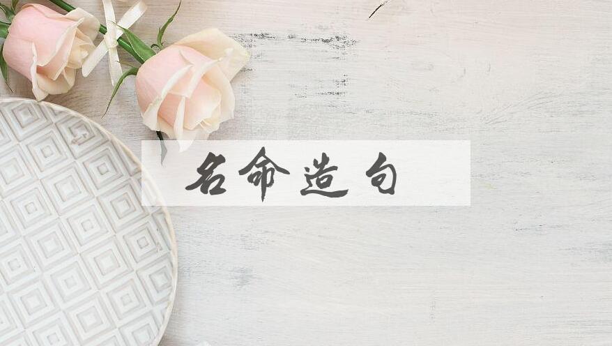 用名命造句