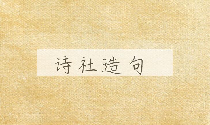 用诗社造句