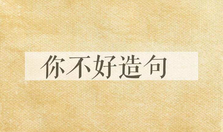用你不好造句