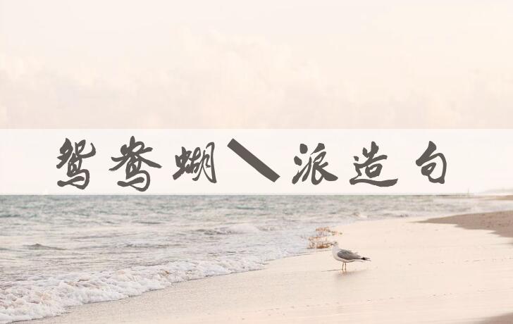 用鸳鸯蝴蝶派造句