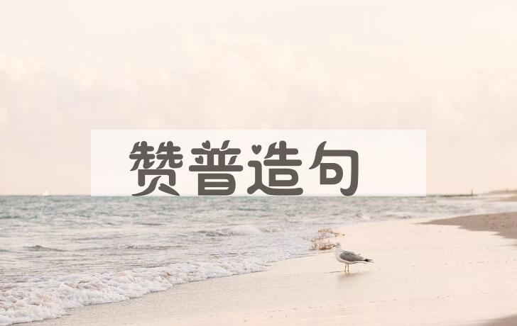 用赞普造句