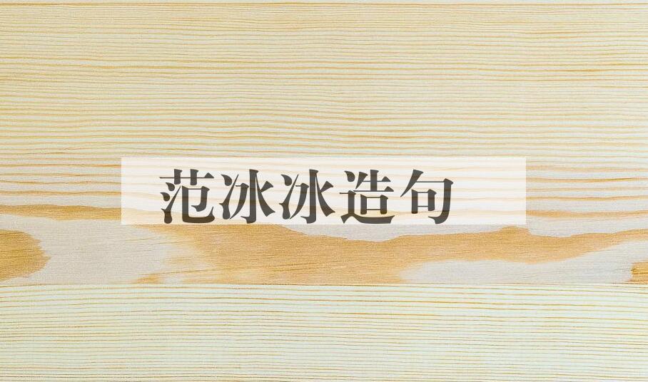 用范冰冰造句