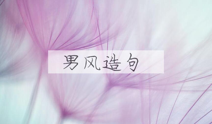用男风造句