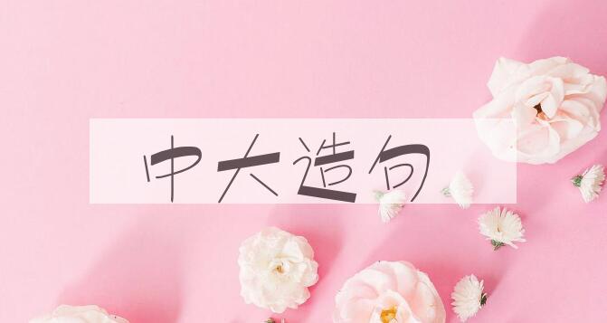 用中大造句