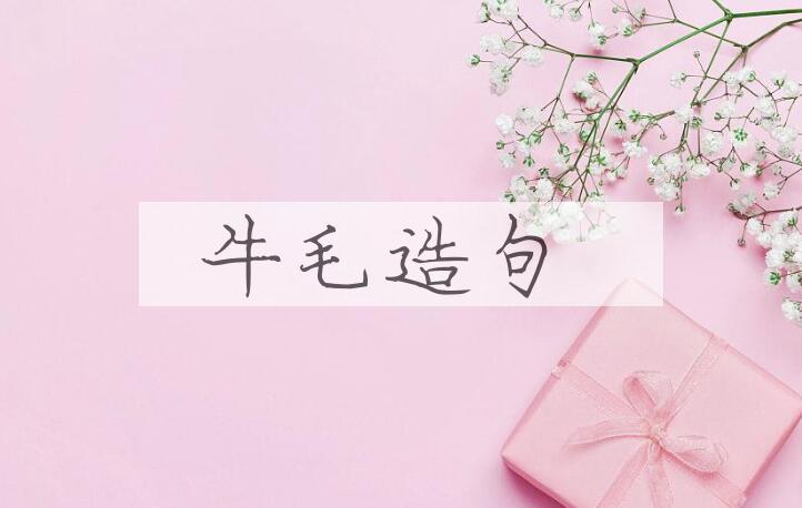用牛毛造句
