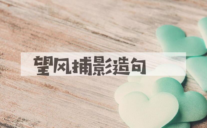 用望风捕影造句
