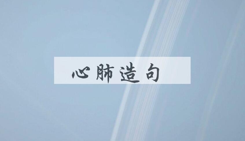 用心肺造句