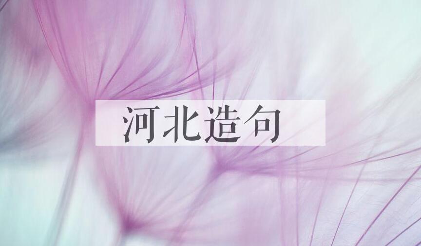 用河北造句