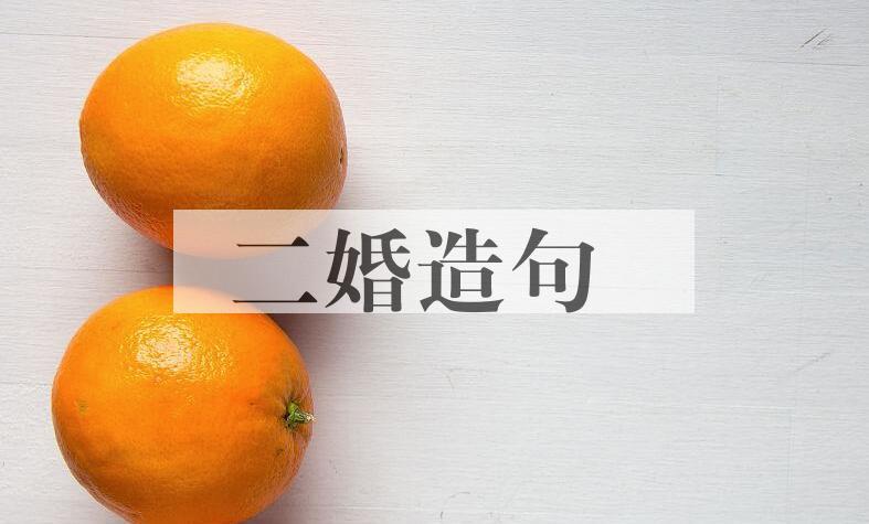 用二婚造句