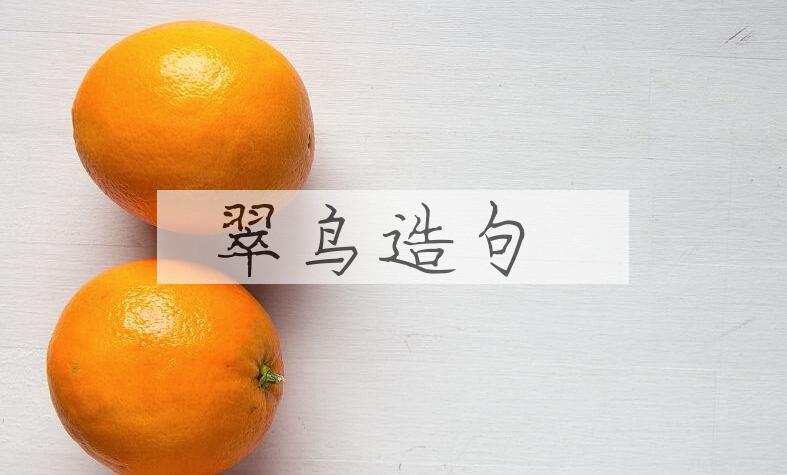 用翠鸟造句