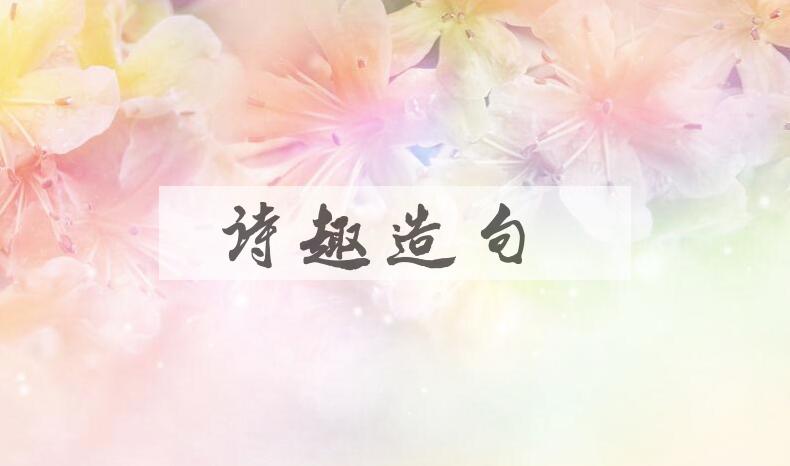 用诗趣造句