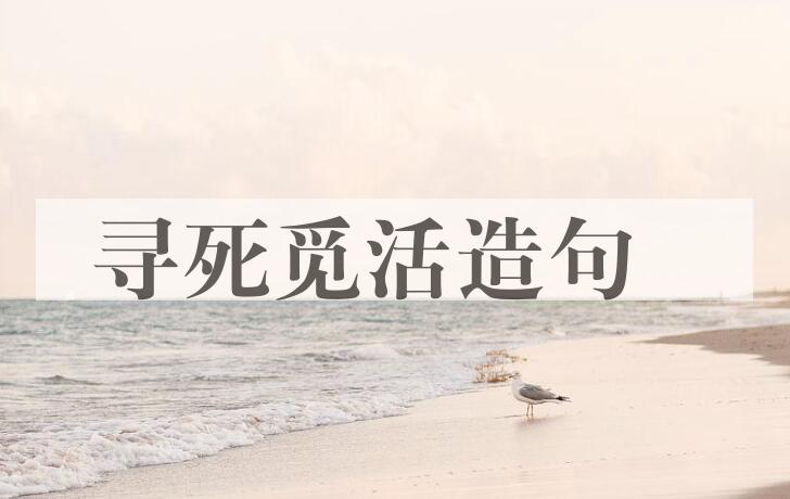 用寻死觅活造句