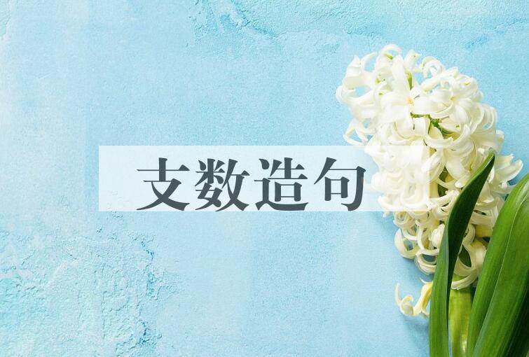 用支数造句
